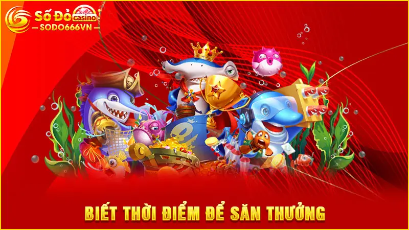 Biết thời điểm để săn thưởng
