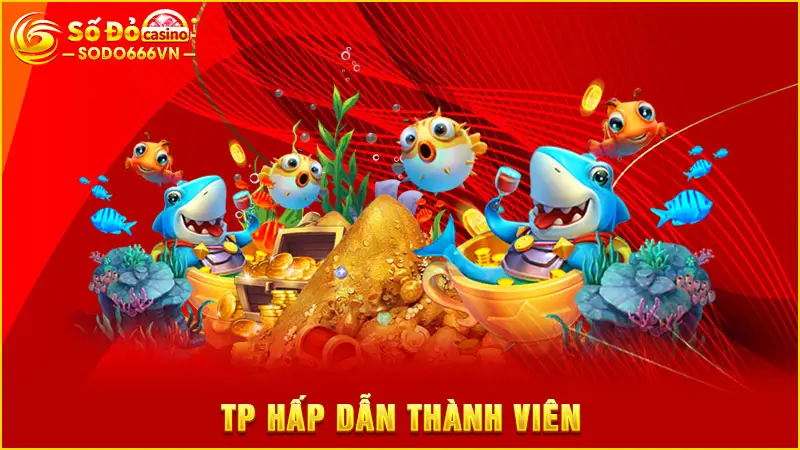 TP hấp dẫn thành viên